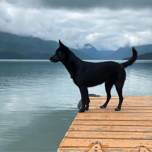 Meet your Posher, Jimbo